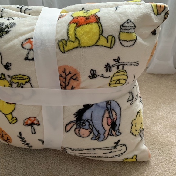 Disney Other - Winnie the Pooh Pillow Set of 2